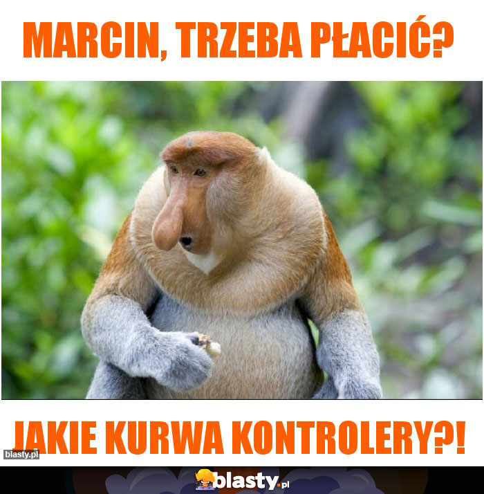 Marcin, trzeba płacić? Marcin, trzeba płacić?