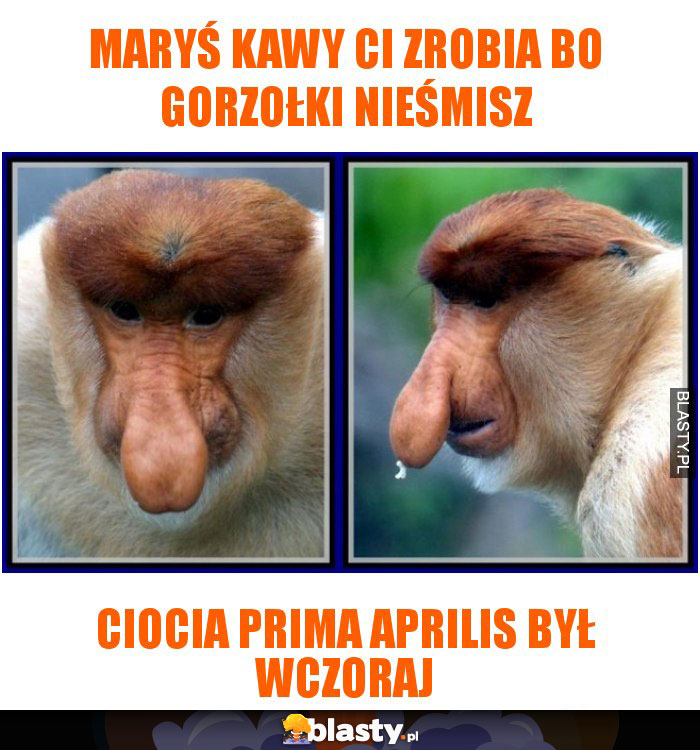Maryś kawy ci zrobia bo gorzołki nieśmisz