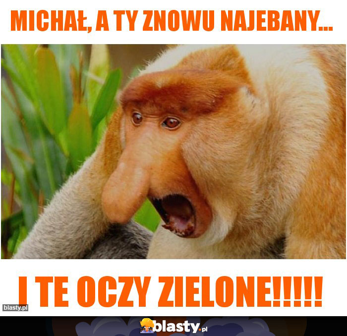 Michał, a Ty znowu najebany... Michał, a Ty znowu najebany...