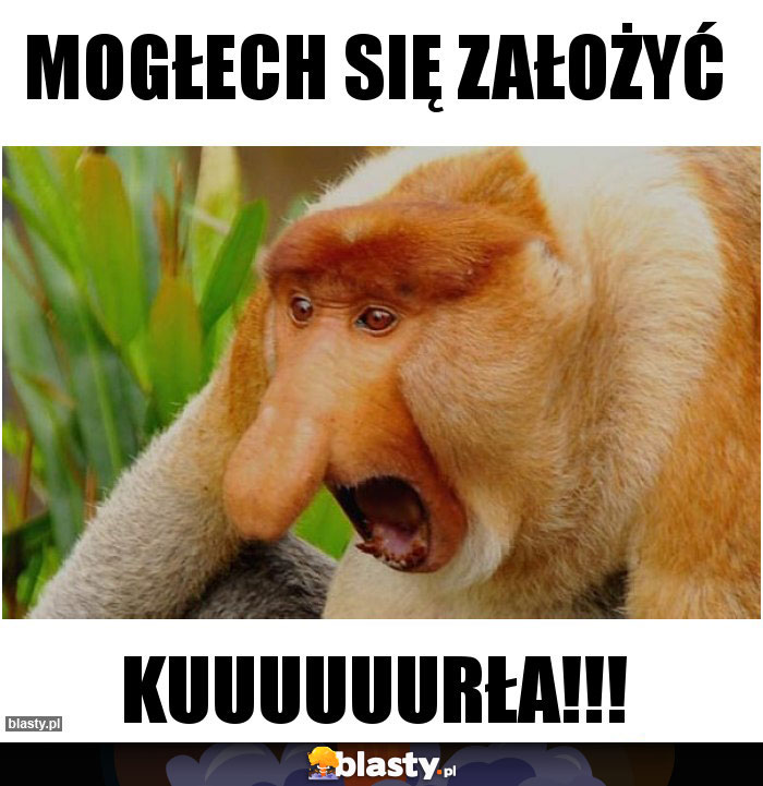 Mogłech się założyć Mogłech się założyć