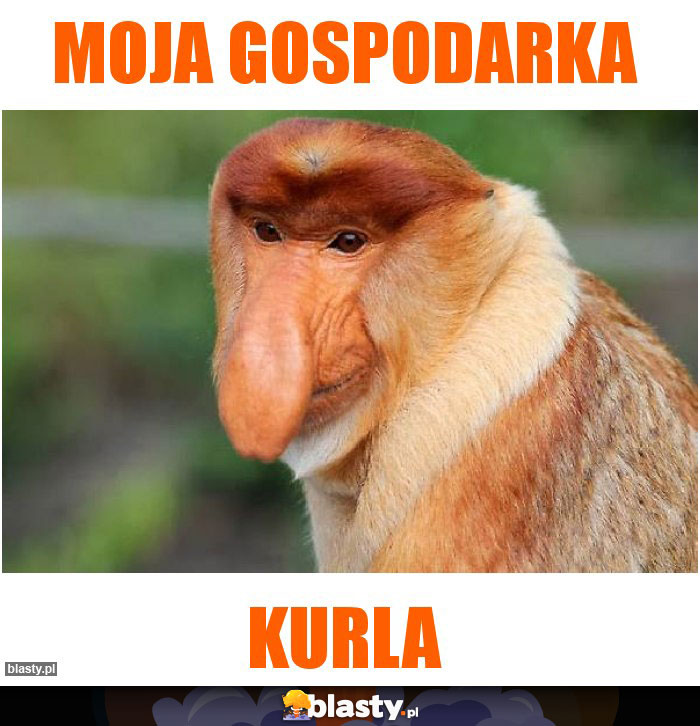 moja gospodarka moja gospodarka