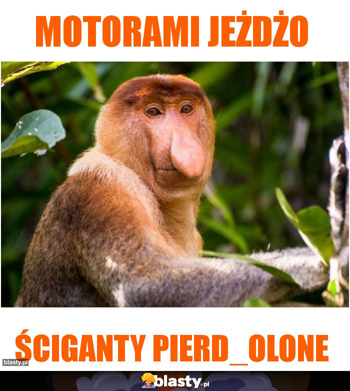 Motorami jeżdżo Motorami jeżdżo