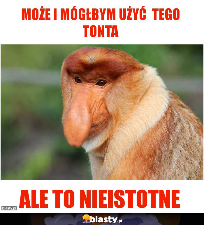 Może i mógłbym użyć tego tonta Może i mógłbym użyć tego tonta