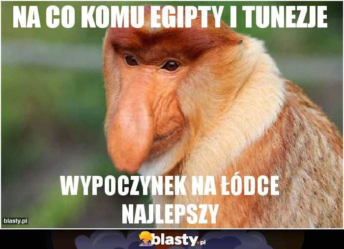 Na co komu Egipty i Tunezje Na co komu Egipty i Tunezje