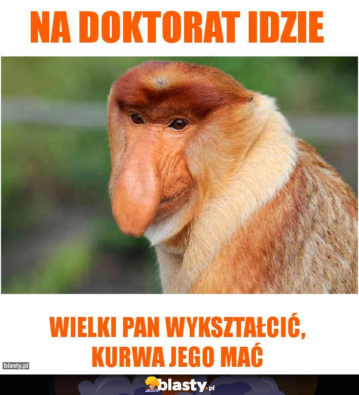 Na doktorat idzie