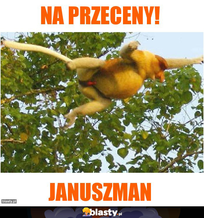 Na przeceny!