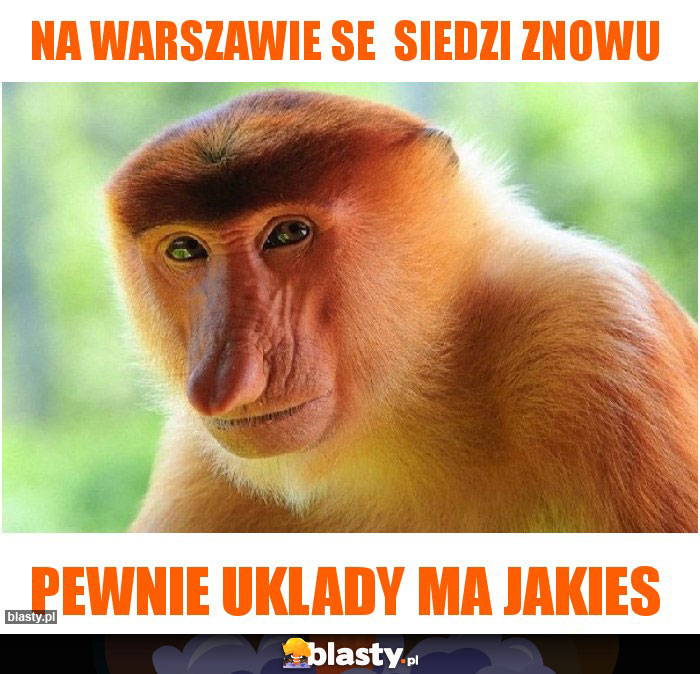 Na warszawie se siedzi znowu Na warszawie se siedzi znowu