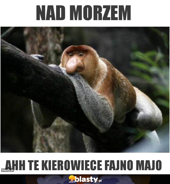 Nad morzem Nad morzem