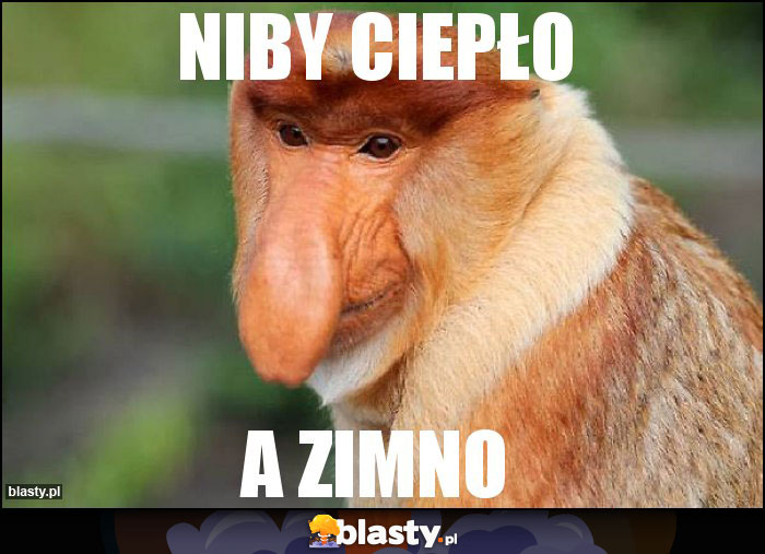 NIBY CIEPŁO NIBY CIEPŁO