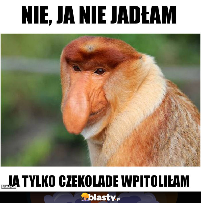 NIE, JA NIE JADŁAM NIE, JA NIE JADŁAM