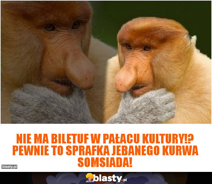 Nie ma biletuf w pałacu kultury!? Pewnie to sprafka jebanego kurwa somsiada! Nie ma biletuf w pałacu kultury!? Pewnie to sprafka jebanego kurwa somsiada!