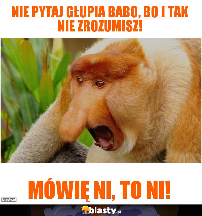 Nie pytaj głupia babo, bo i tak nie zrozumisz! Nie pytaj głupia babo, bo i tak nie zrozumisz!