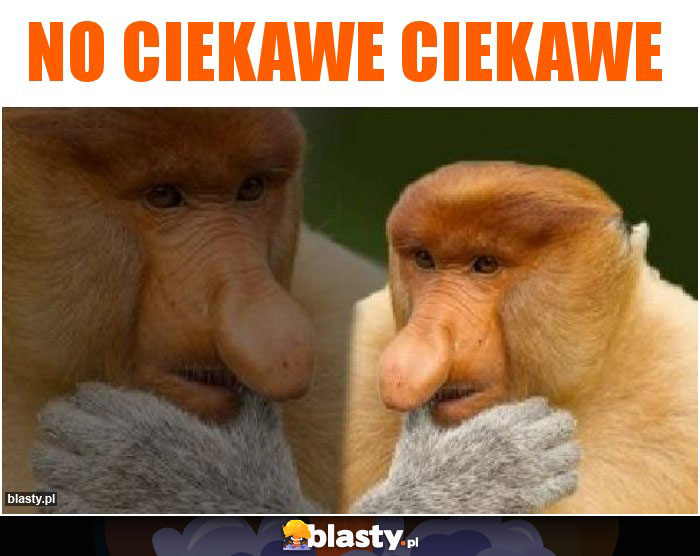 No ciekawe ciekawe No ciekawe ciekawe