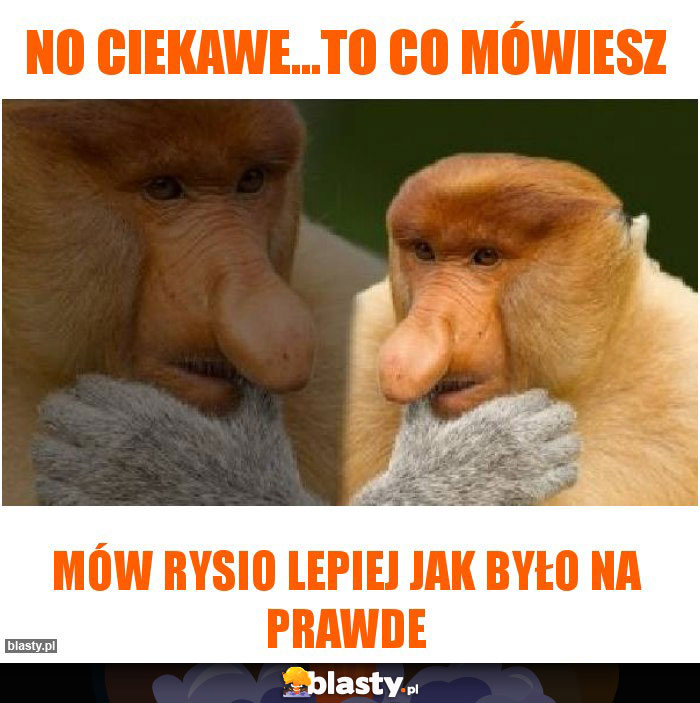 NO CIEKAWE...TO CO MÓWIESZ NO CIEKAWE...TO CO MÓWIESZ