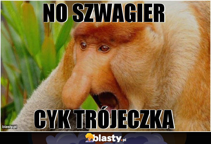 no szwagier no szwagier
