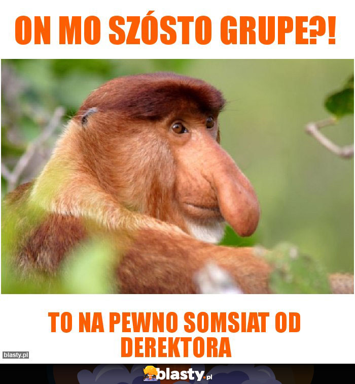on mo szósto grupe?! on mo szósto grupe?!