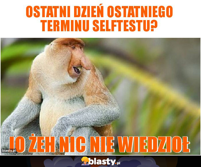 Ostatni dzień ostatniego terminu selftestu? Ostatni dzień ostatniego terminu selftestu?