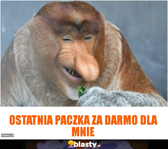 Ostatnia paczka za darmo dla mnie Ostatnia paczka za darmo dla mnie