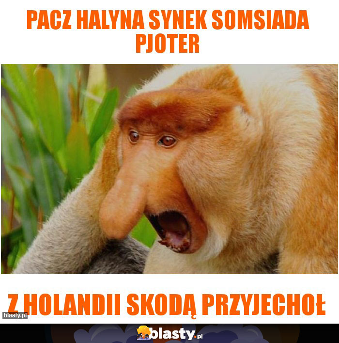 Pacz Halyna synek somsiada Pjoter Pacz Halyna synek somsiada Pjoter