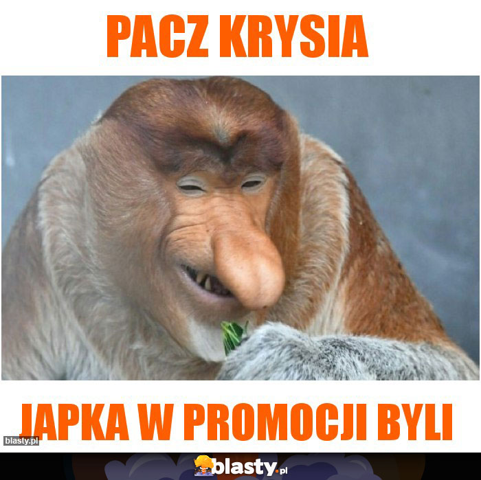 Pacz Krysia Pacz Krysia