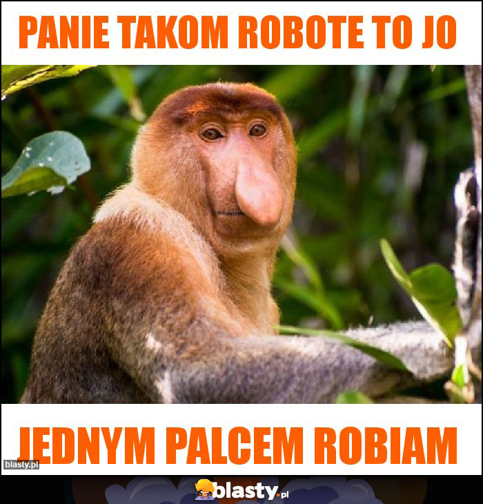 Panie takom robote to jo Panie takom robote to jo