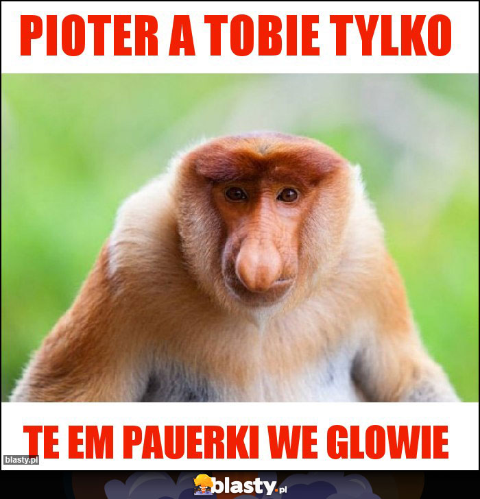 Pioter a Tobie tylko Pioter a Tobie tylko