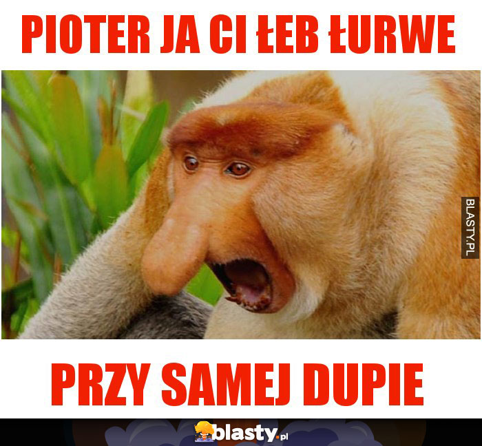 Pioter ja ci łeb łurwe Pioter ja ci łeb łurwe