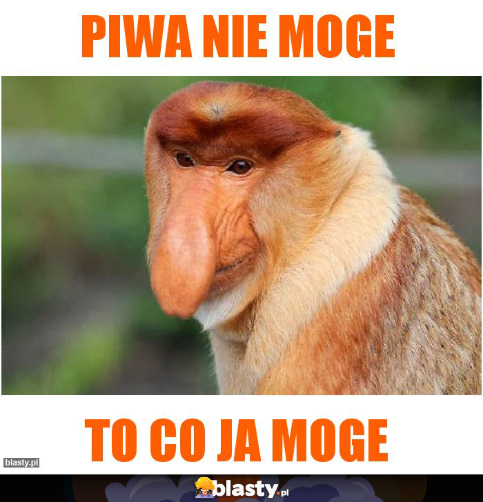 Piwa nie moge Piwa nie moge