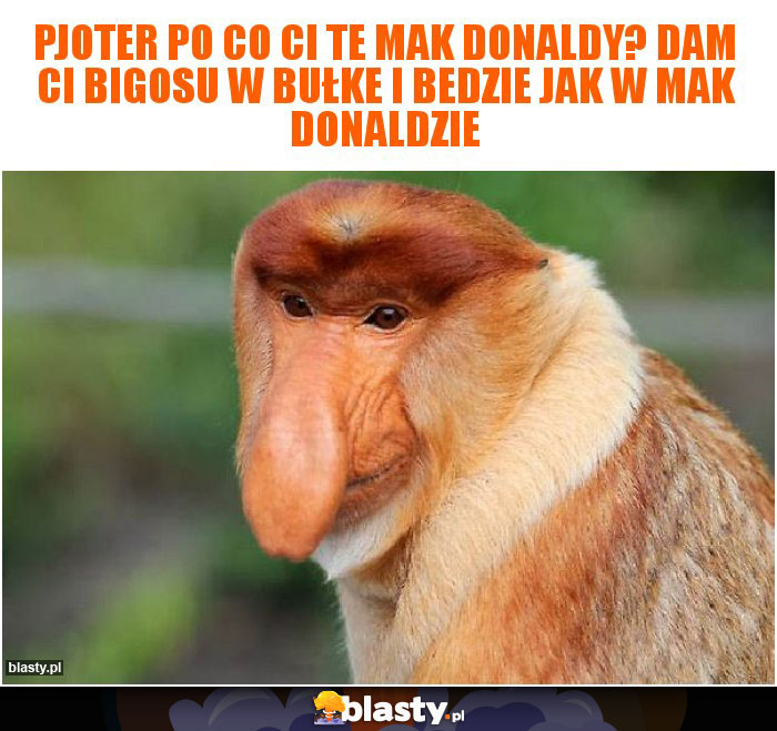 Pjoter po co ci te mak donaldy? Dam ci bigosu w bułke i bedzie jak w mak donaldzie Pjoter po co ci te mak donaldy? Dam ci bigosu w bułke i bedzie jak w mak donaldzie