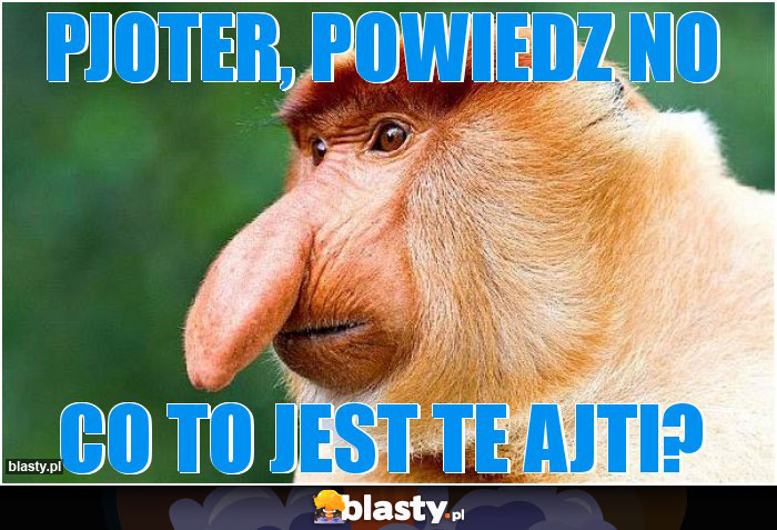 Pjoter, powiedz no Pjoter, powiedz no