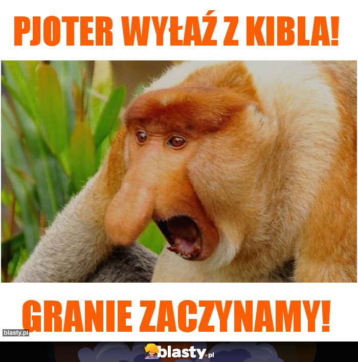 Pjoter wyłaź z kibla! Pjoter wyłaź z kibla!