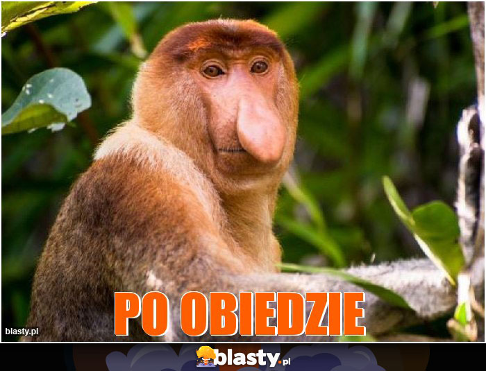 PO OBiedzie PO OBiedzie