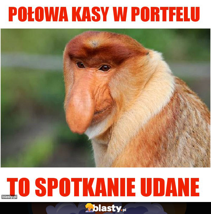 Połowa kasy w portfelu Połowa kasy w portfelu