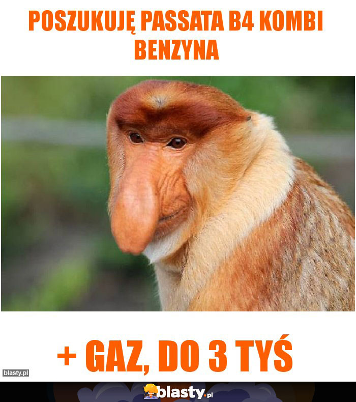 Poszukuję passata b4 kombi benzyna Poszukuję passata b4 kombi benzyna