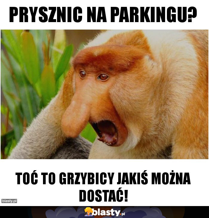 Prysznic na parkingu? Prysznic na parkingu?
