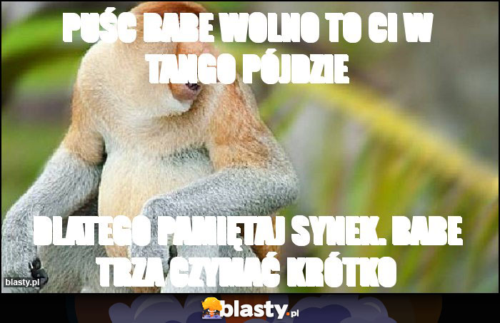 Puśc babe wolno to ci w tango pójdzie Puśc babe wolno to ci w tango pójdzie