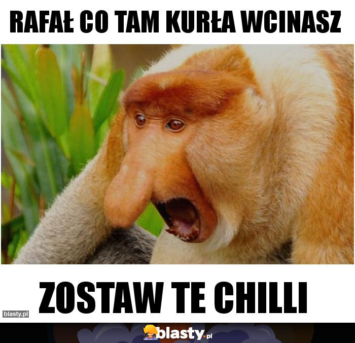 Rafał co tam kurła wcinasz Rafał co tam kurła wcinasz