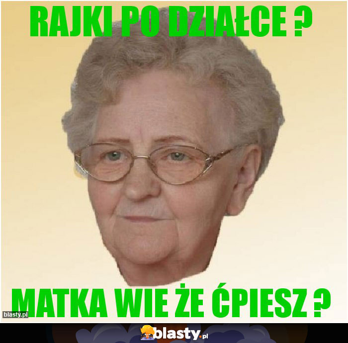 rajki po działce ? rajki po działce ?