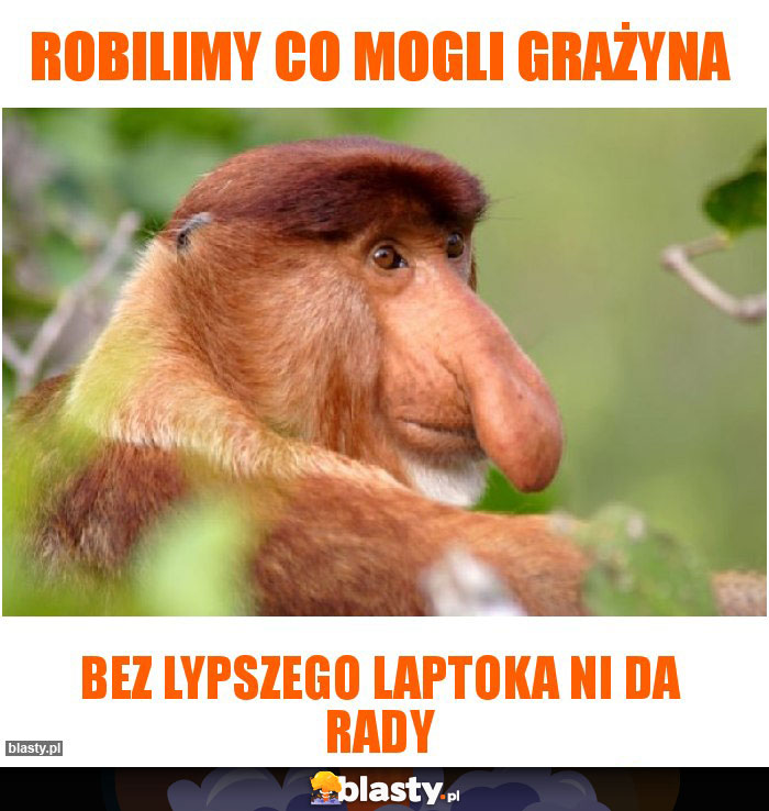Robilimy co mogli Grażyna Robilimy co mogli Grażyna