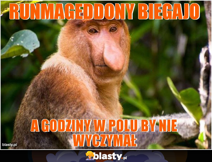 Runmageddony biegajo Runmageddony biegajo
