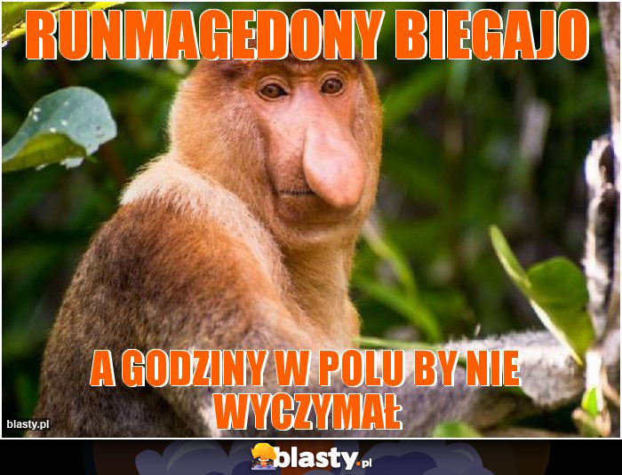 Runmagedony biegajo Runmagedony biegajo