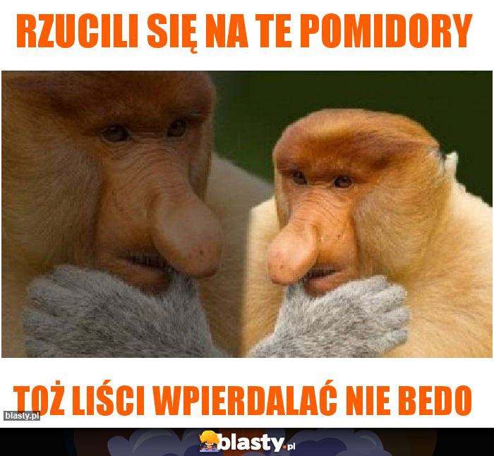 Rzucili się na te pomidory Rzucili się na te pomidory