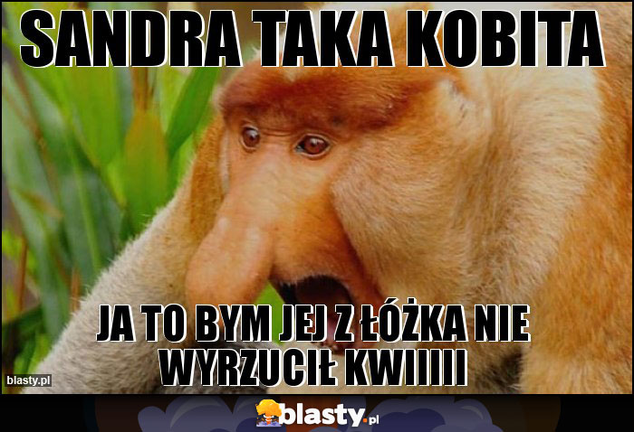 Sandra taka kobita Sandra taka kobita