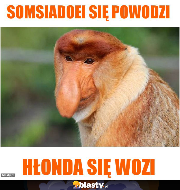 Somsiadoei się powodzi Somsiadoei się powodzi