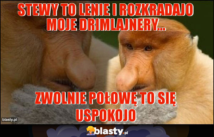 Stewy to lenie i rozkradajo moje drimlajnery... Stewy to lenie i rozkradajo moje drimlajnery...
