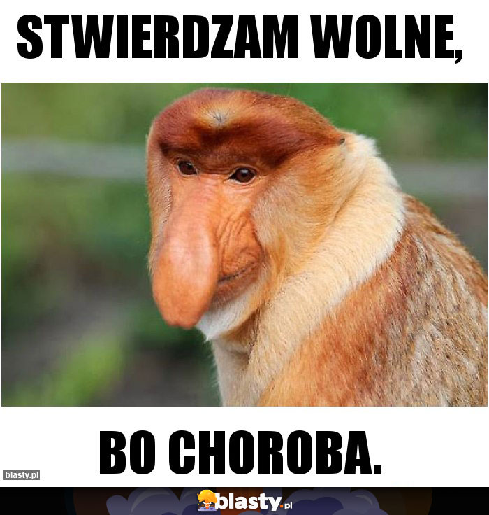 Stwierdzam wolne, Stwierdzam wolne,