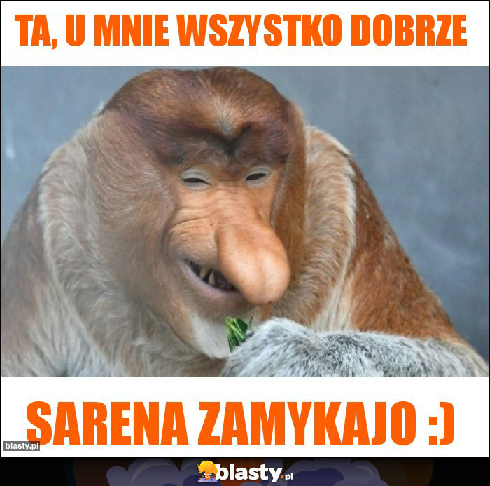 Ta, u mnie wszystko dobrze Ta, u mnie wszystko dobrze