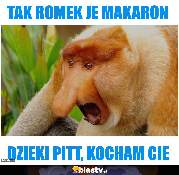 tak Romek je makaron tak Romek je makaron
