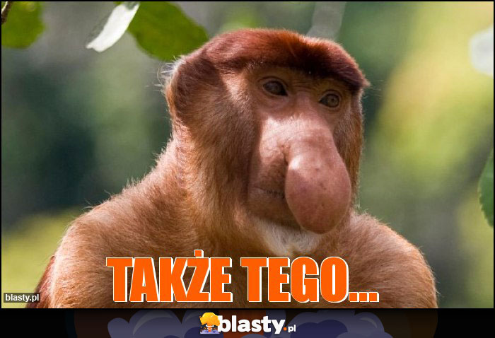 Także tego... Także tego...