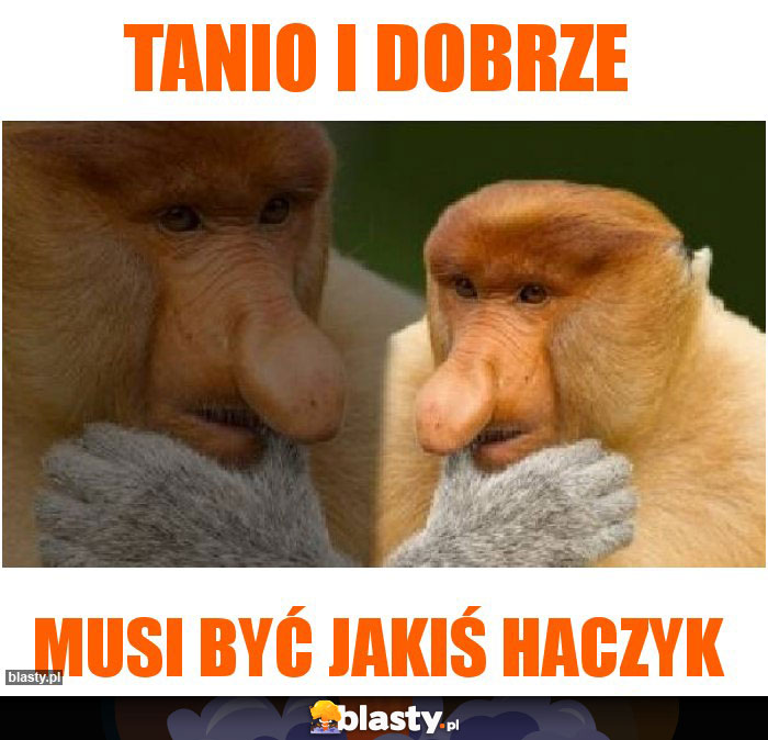 Tanio i dobrze Tanio i dobrze